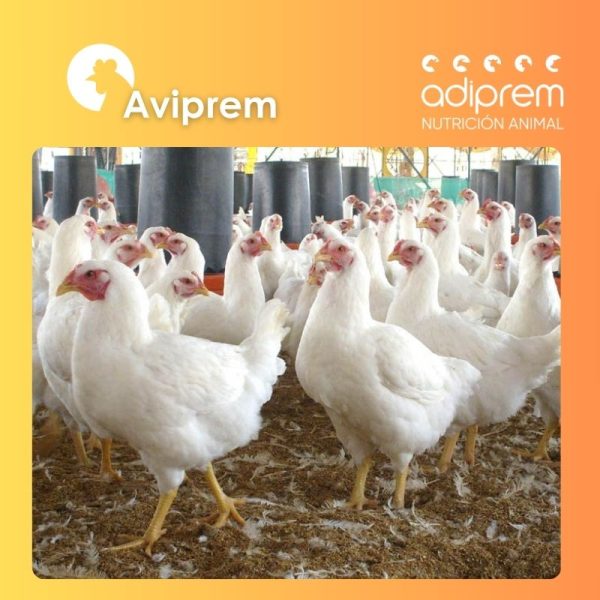 Premezcla Adiprem para pollo de engorda